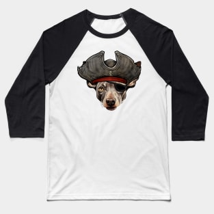 Funny Pirate Hairless Terrier Dog Baseball T-Shirt